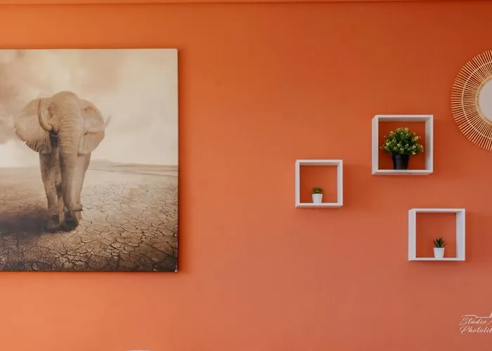 Rêveries Au Bord De L’erdre Appartement Nantes